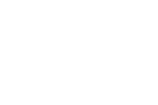 Level Up Coaching